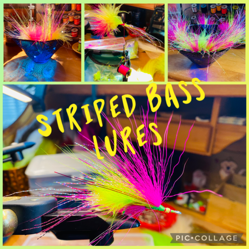 FiSh-0N!!  Striped Bass 