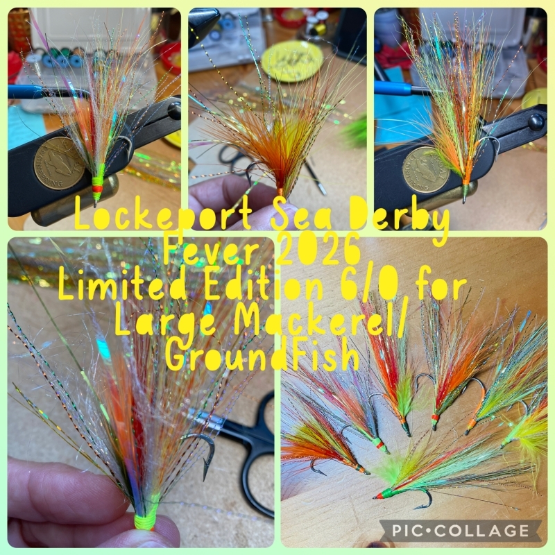 FiSh-0N!!  LOCKePORT Sea Derby Fever 2026 6/0 Large Mackerel / GroundFish 